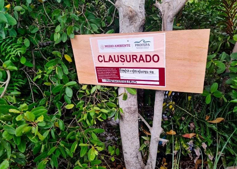 Clausuran Trabajos
