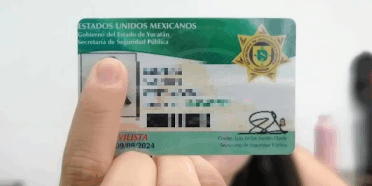 licencia