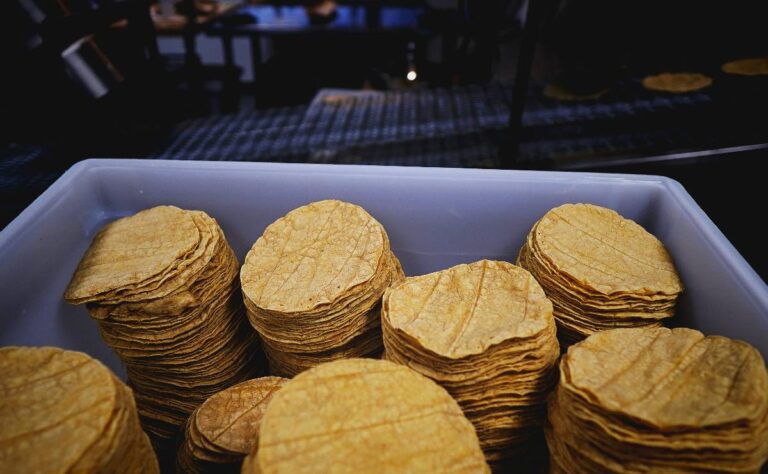 ¡Por las nubes! Precio de kilo de tortillas llega a 30 pesos en varios estados y aseguran seguirá subiendo (1)