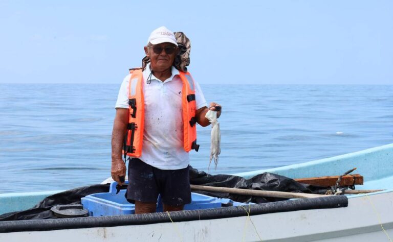 Costa yucateca cierra exitosa temporada de pulpo