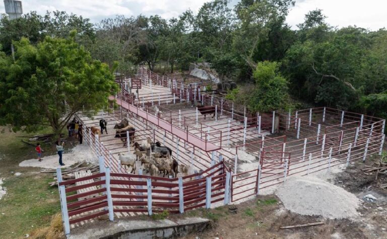 Gobierno del Estado refuerza infraestructura ganadera de Cenotillo