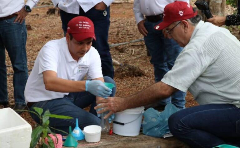 Instalan trampas para reducir la mosca del gusano barrenador