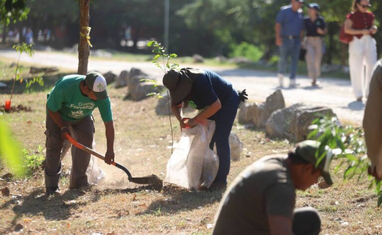Ofrecen descuento a dueños con multas que limpien sus terrenos