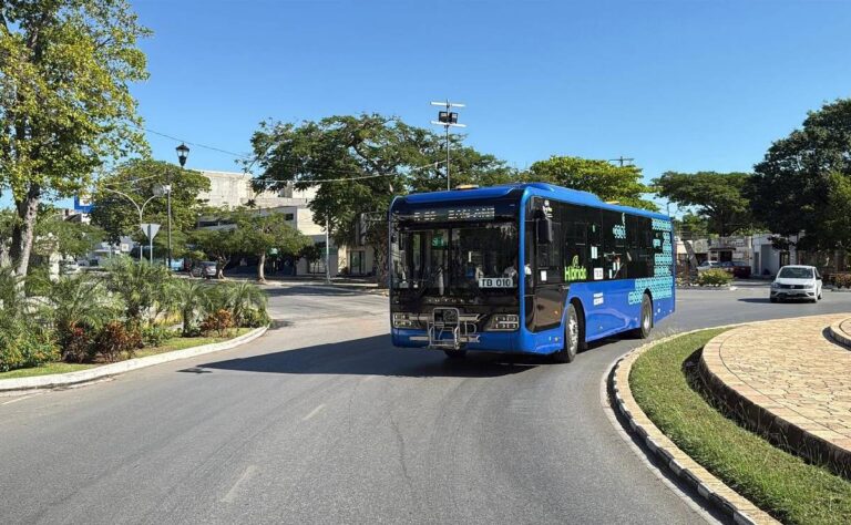 ¡Atención! Estos son los horarios del Va y Ven para Navidad y Año Nuevo