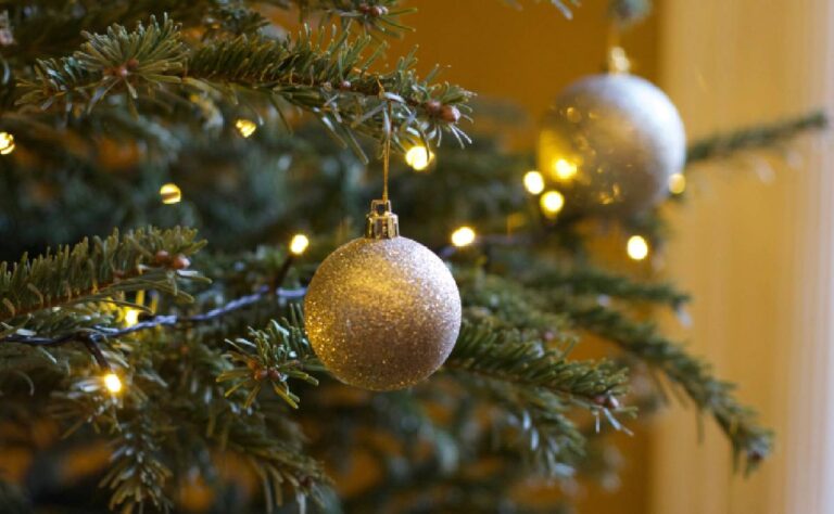 ¿Cuándo se debe poner el árbol de Navidad_ Esto debes de saber