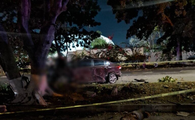 Muere tras chocar contra un árbol en Umán
