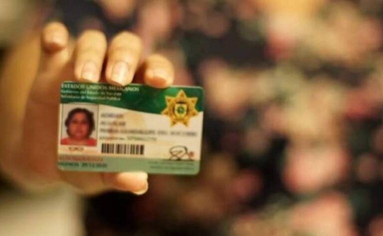 ¡Atención! Estas personas pueden tramitar gratis su licencia de conducir en Yucatán este 2026