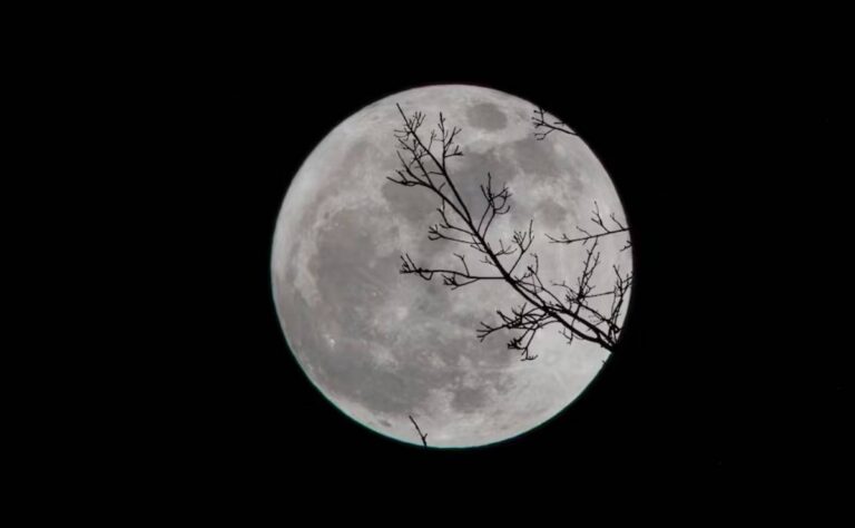 Luna de Gusano 2026_ ¿Cuándo se podrá ver la luna llena de marzo_