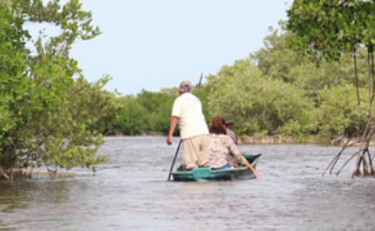 Implementarán operativo coordinado para proteger la Reserva Estatal El Palmar