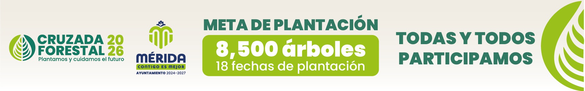 Reemplacamiento Yucatán